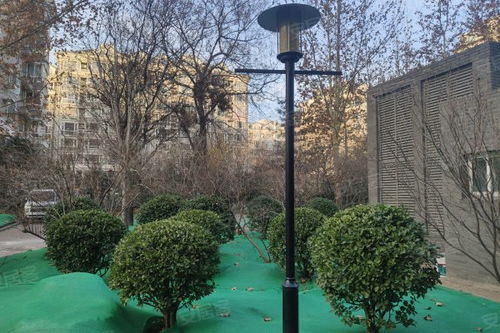 雙槐里小區居住體驗與周邊經紀服務觀察